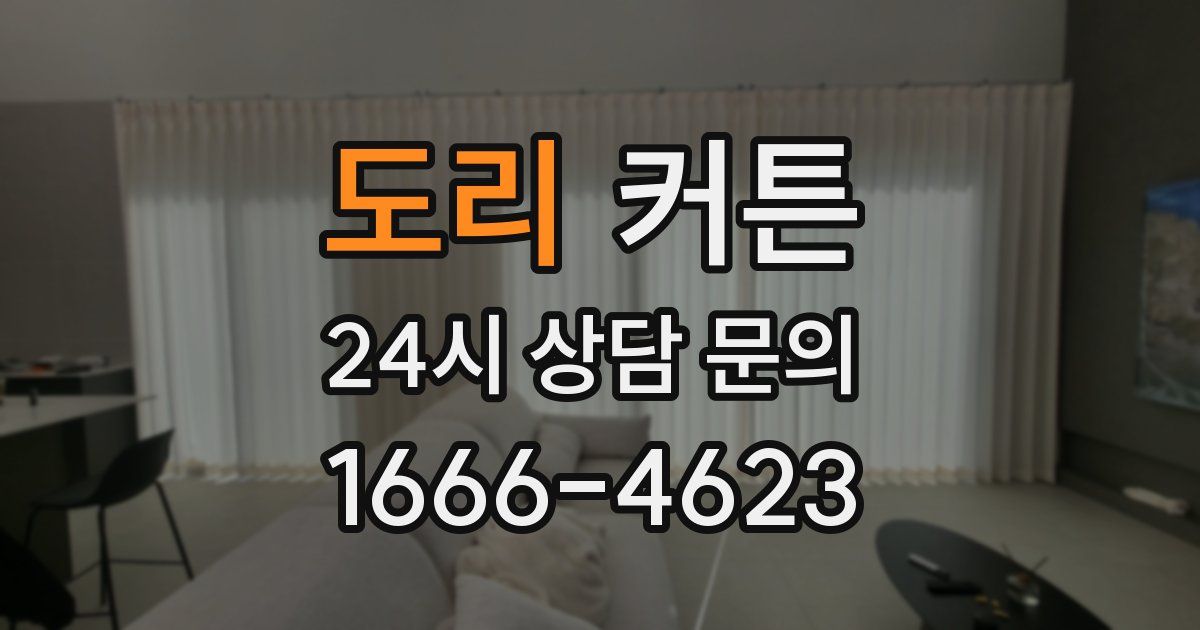 도리 커튼