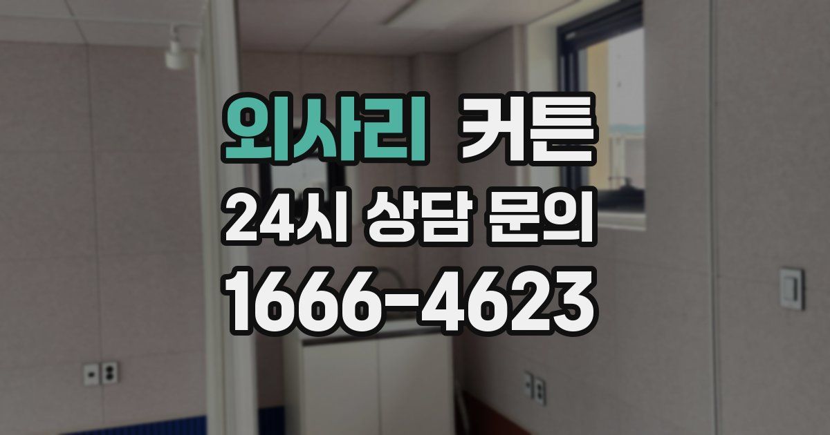 외사리 커튼