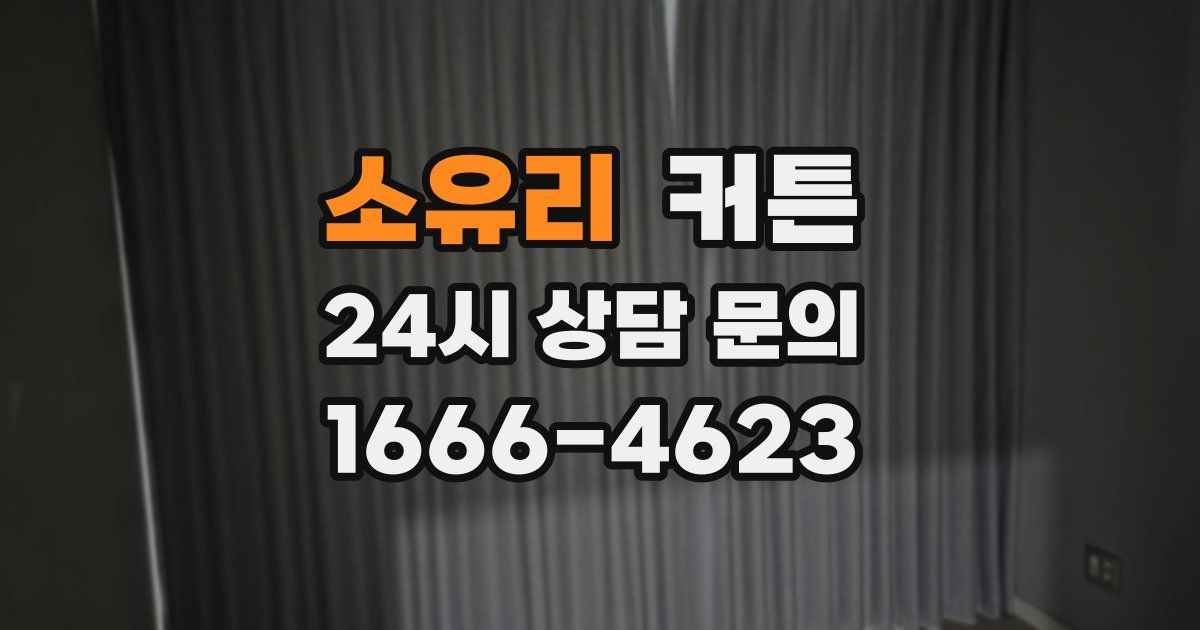 소유리 커튼