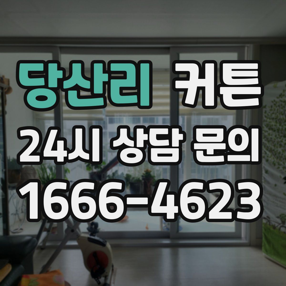 당산리 커튼