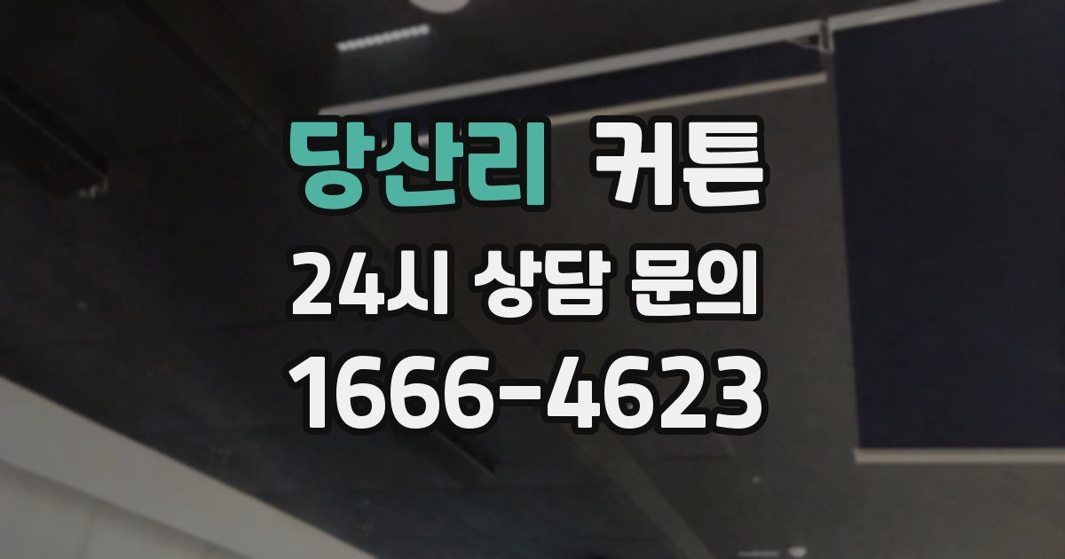 당산리 커튼