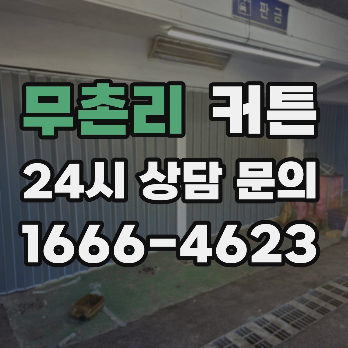 무촌리 커튼