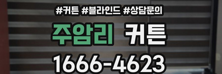 주암리 커튼