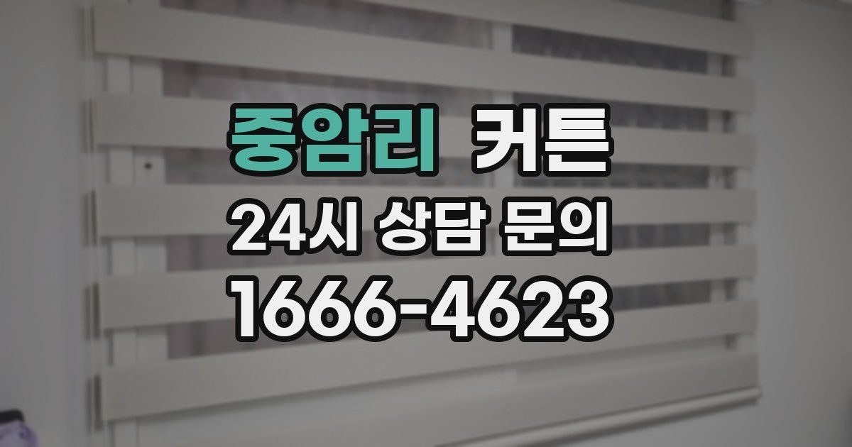 중암리 커튼