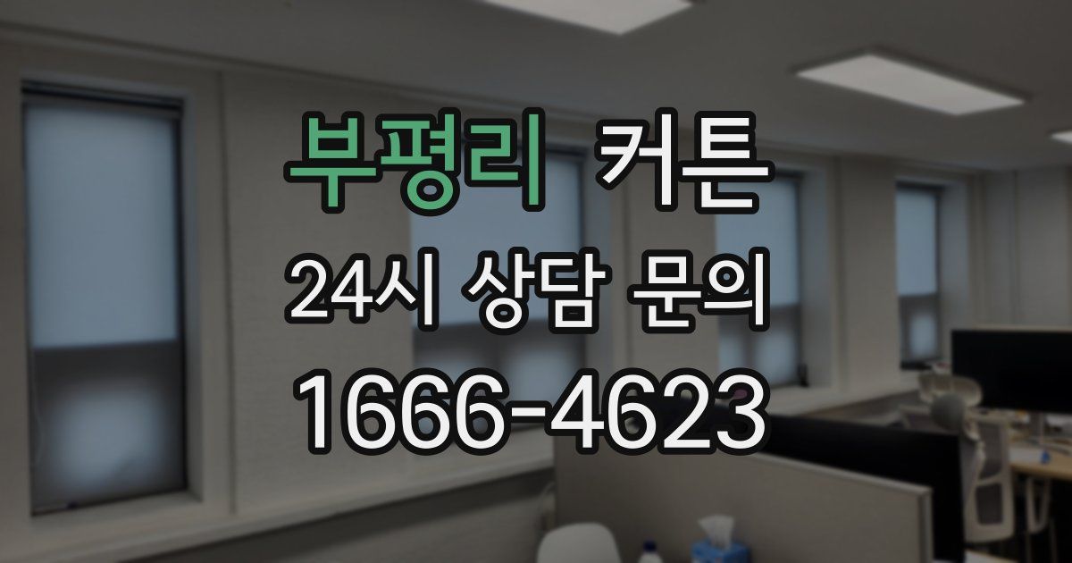 부평리 커튼
