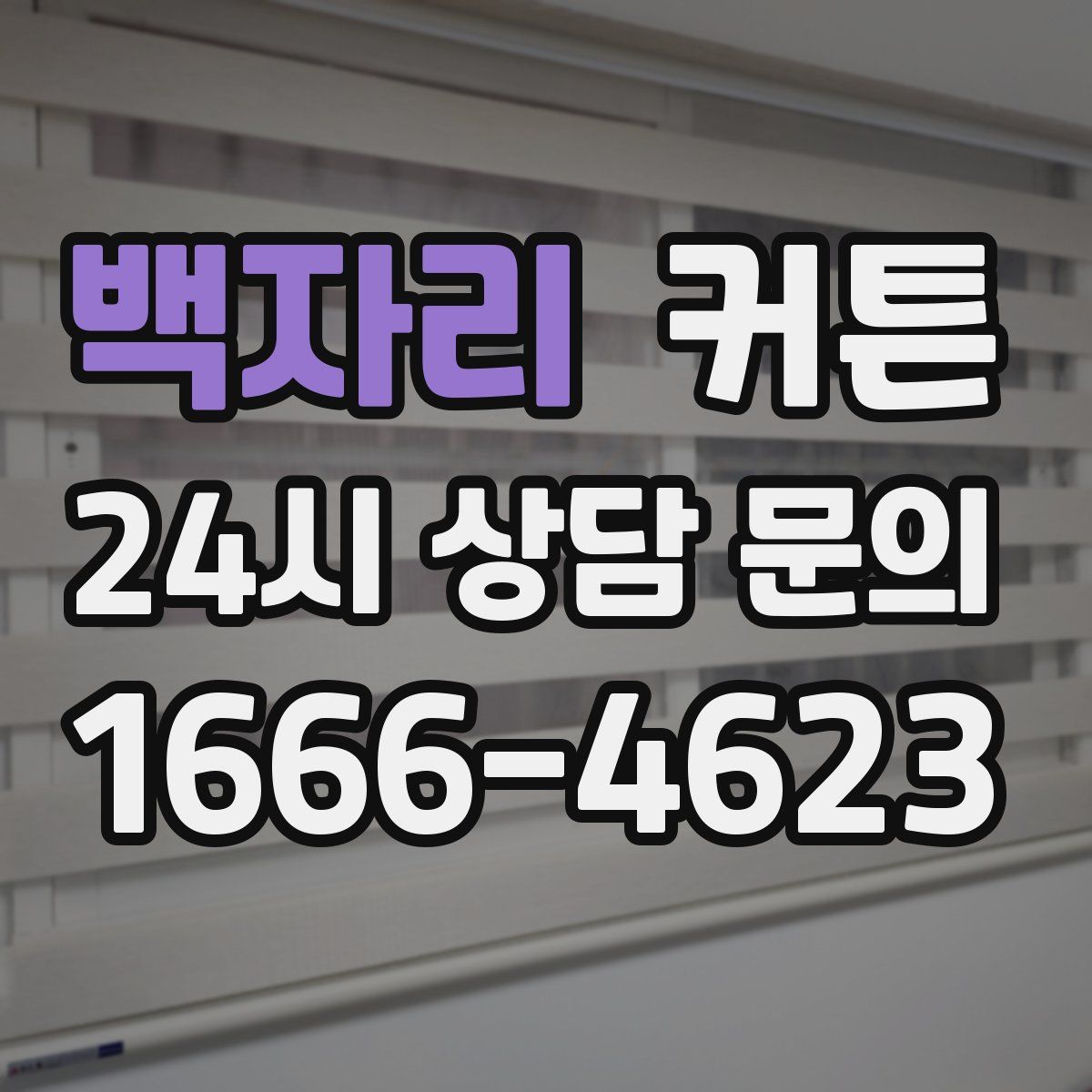 백자리 커튼