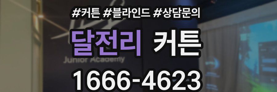 달전리 커튼