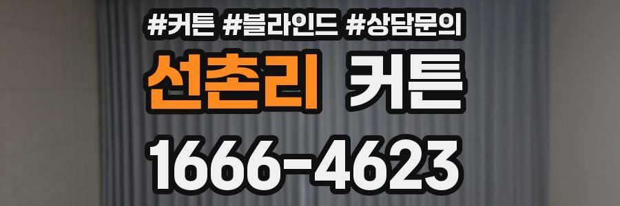 선촌리 커튼