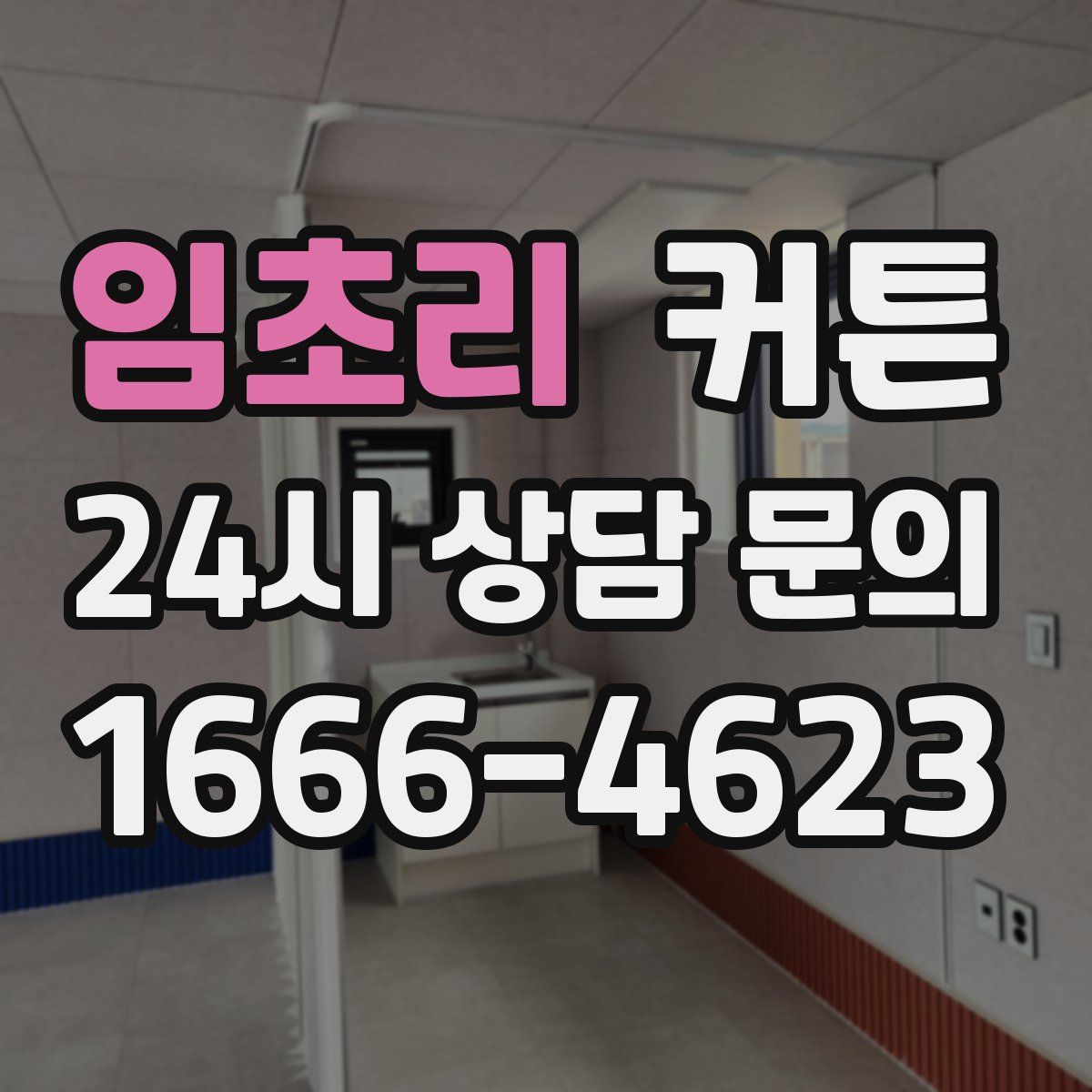 임초리 커튼