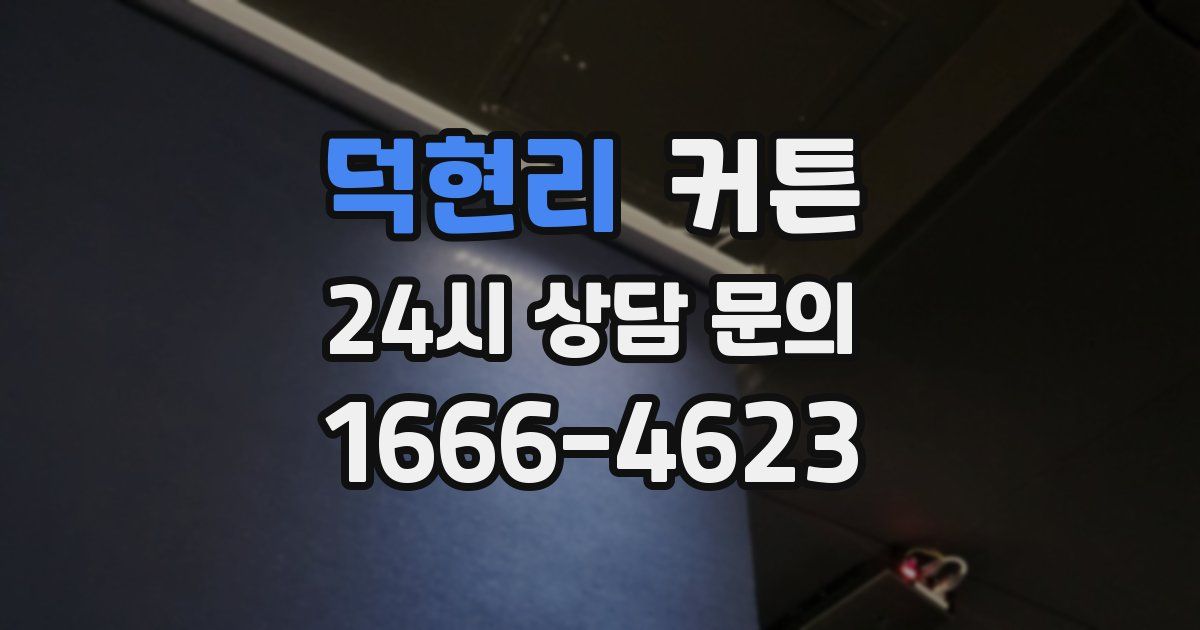 덕현리 커튼