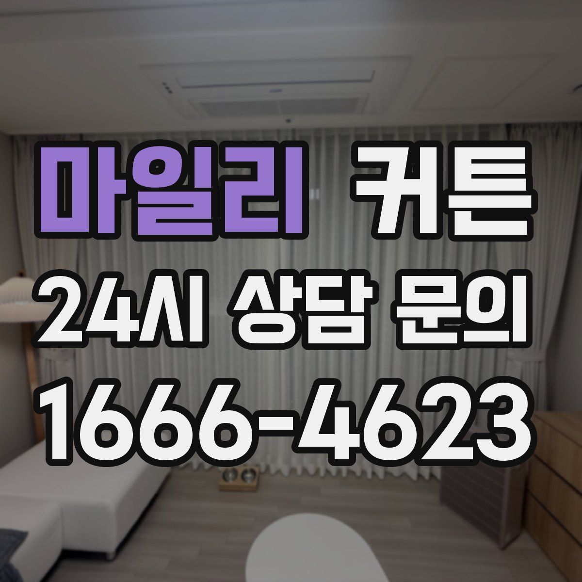 마일리 커튼