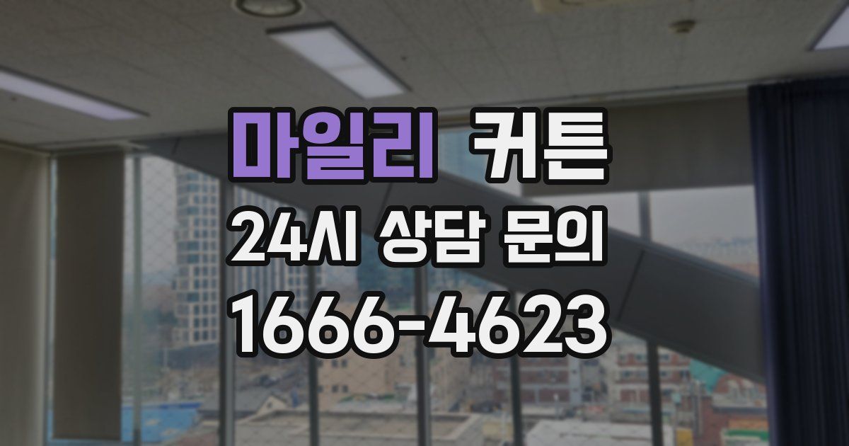 마일리 커튼