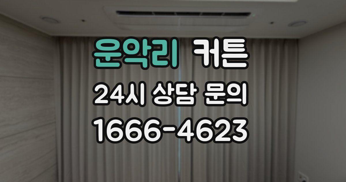 운악리 커튼