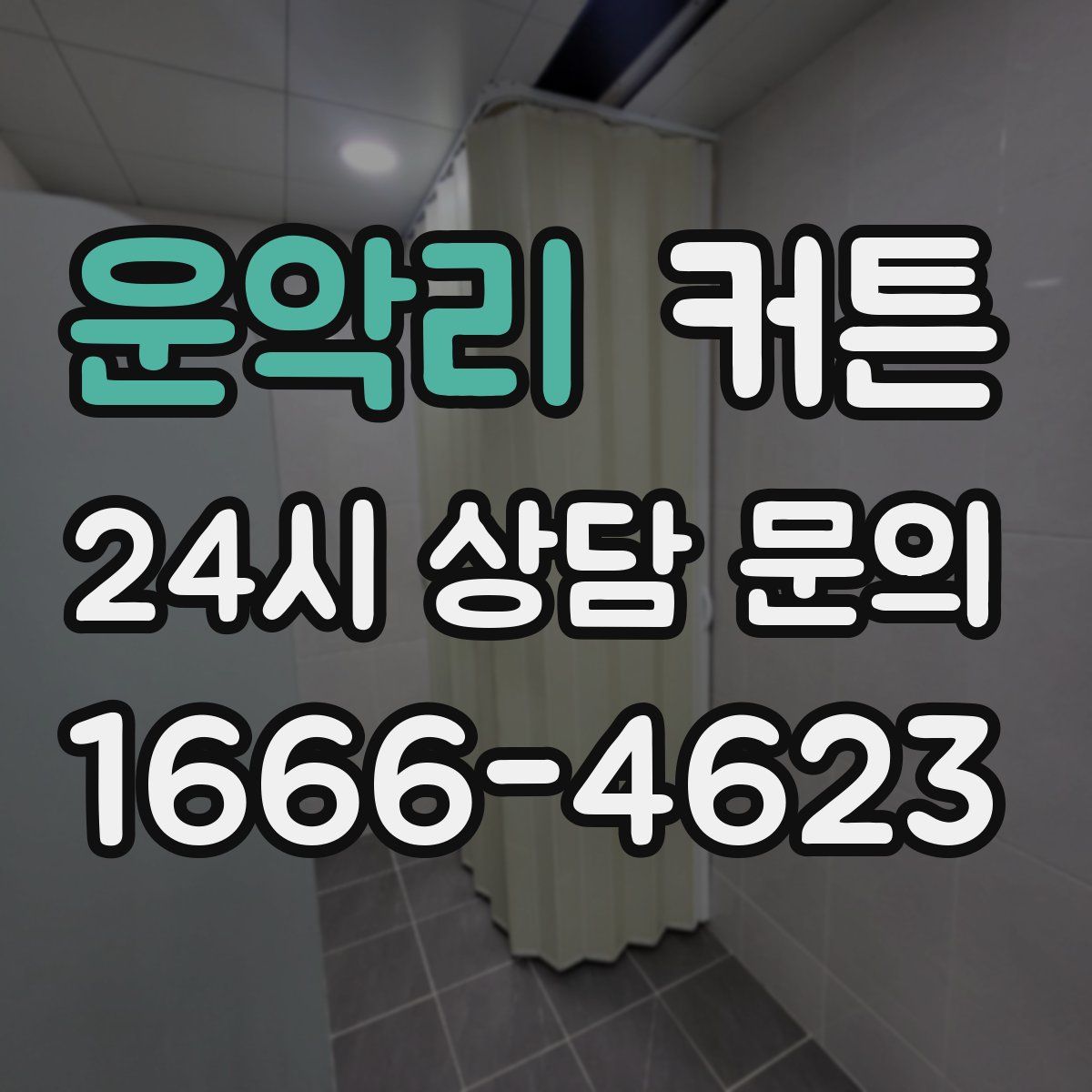 운악리 커튼