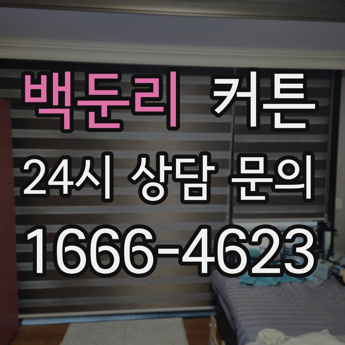 백둔리 커튼