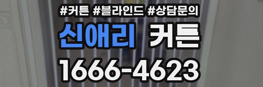 신애리 커튼