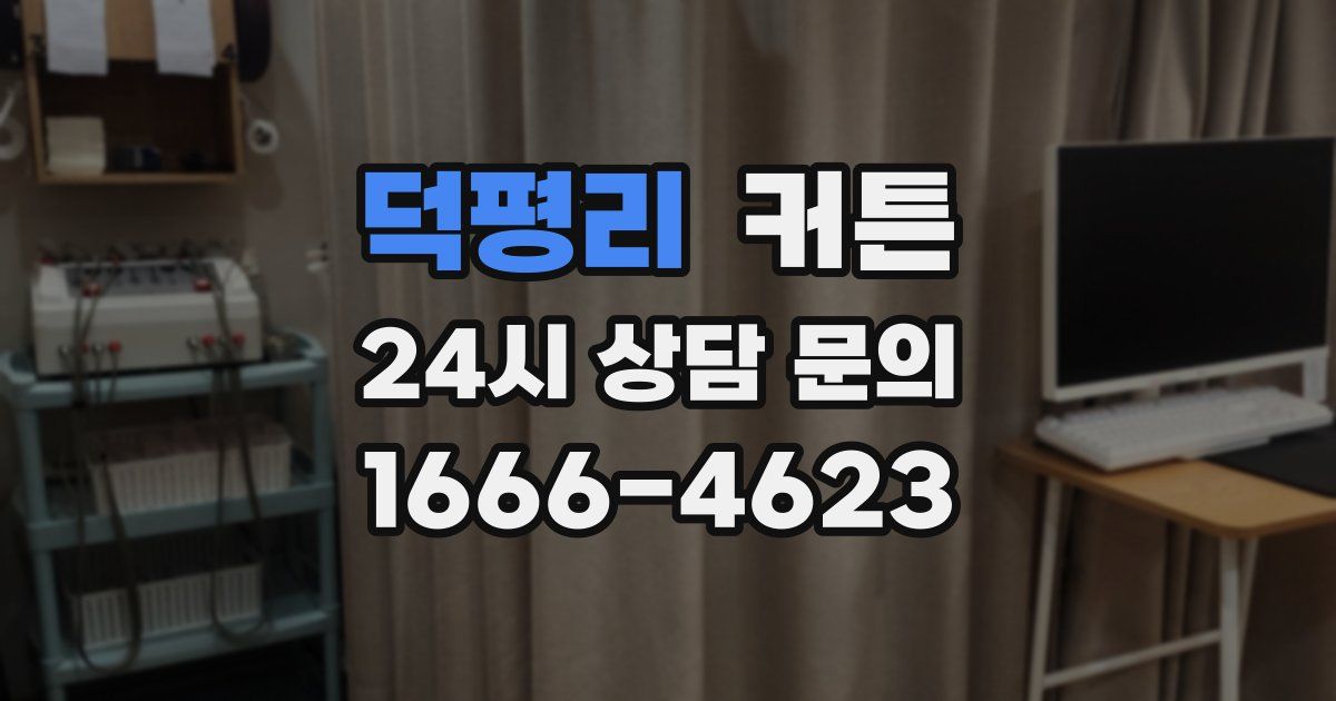 덕평리 커튼