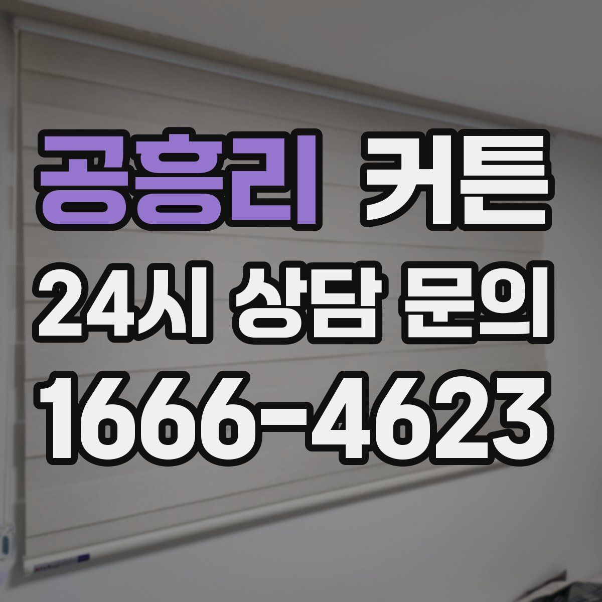 공흥리 커튼
