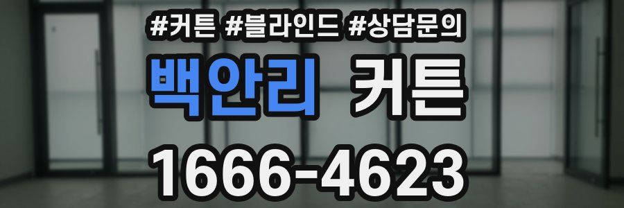 백안리 커튼