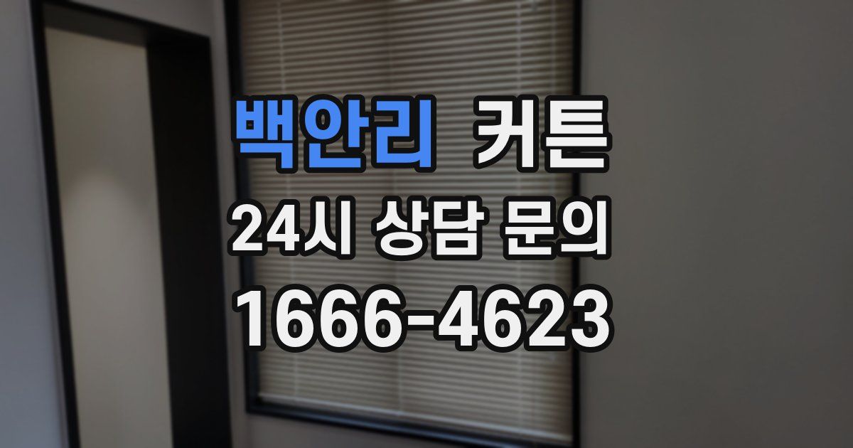 백안리 커튼