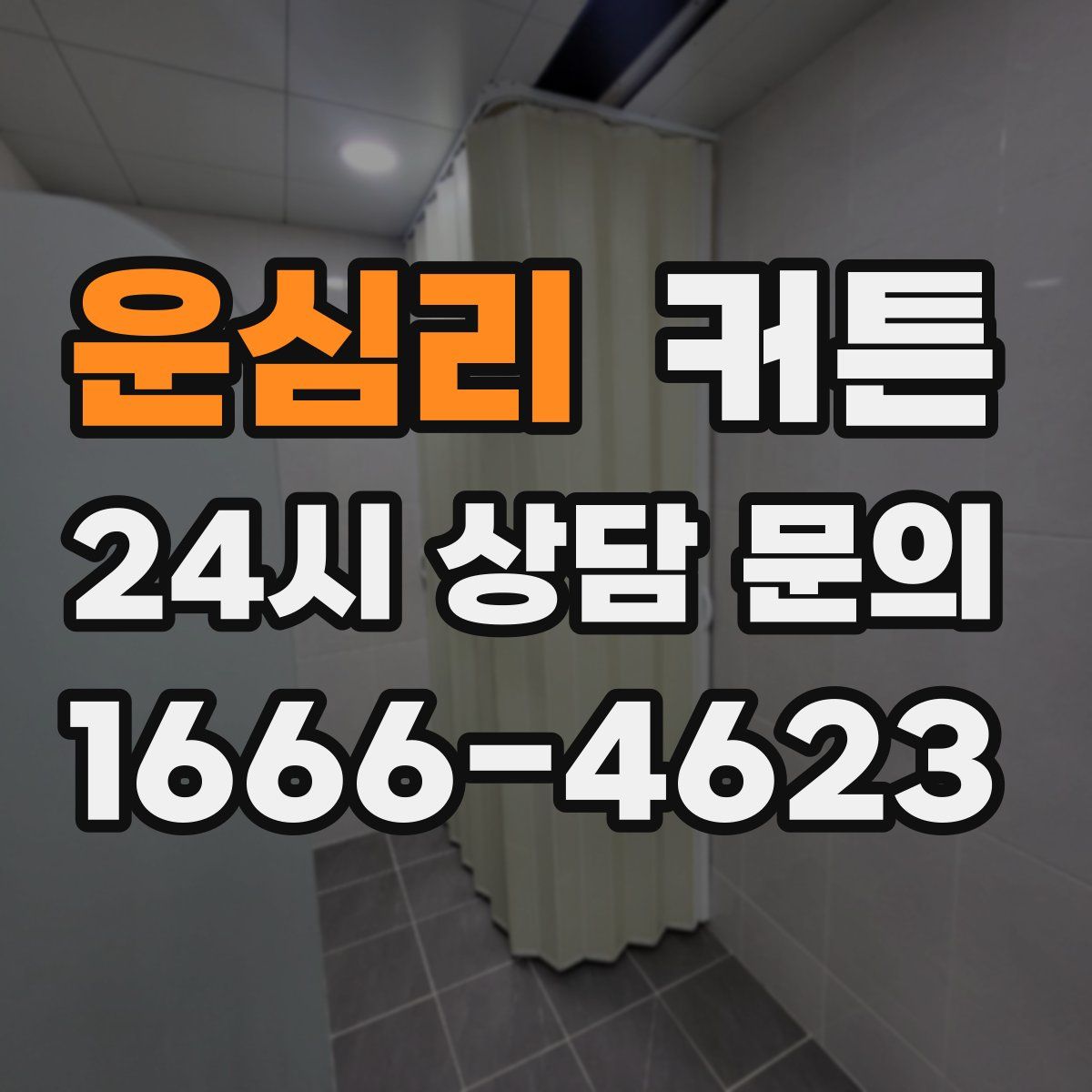 운심리 커튼