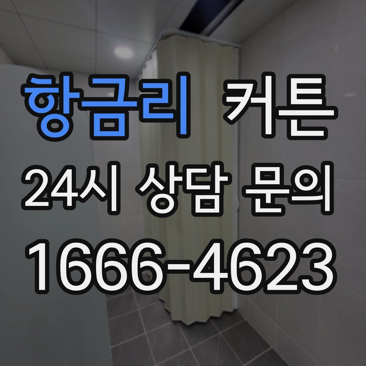 항금리 커튼