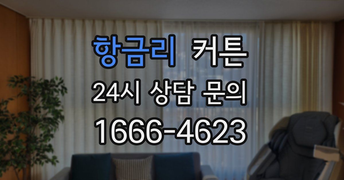 항금리 커튼