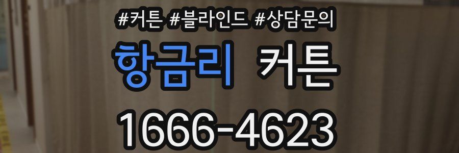 항금리 커튼