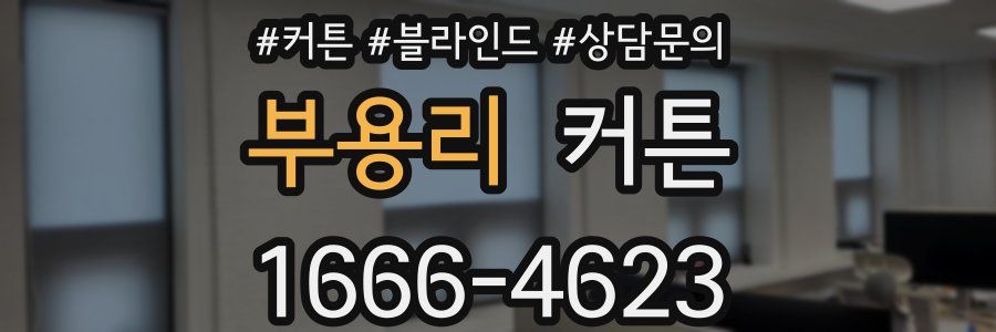 부용리 커튼