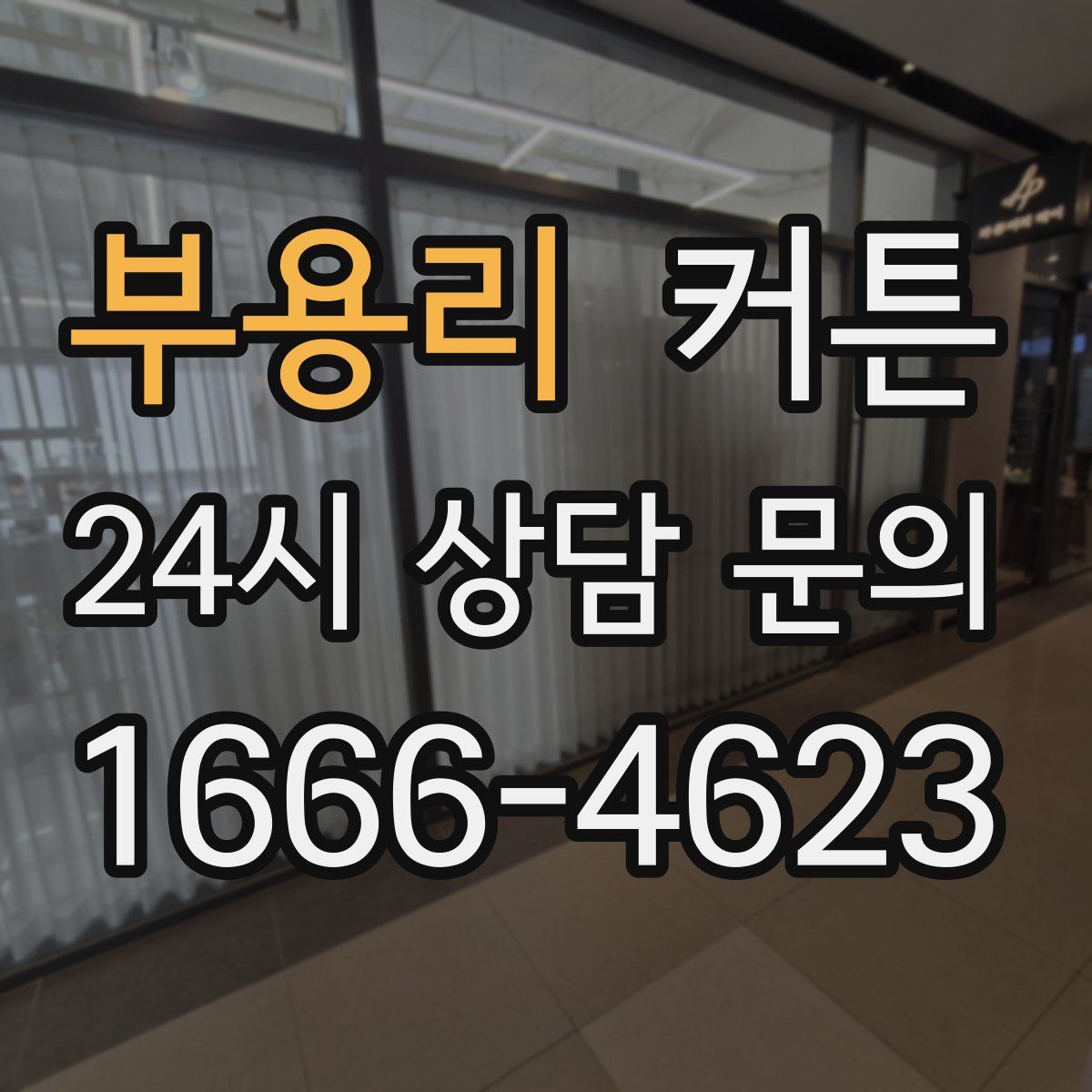 부용리 커튼