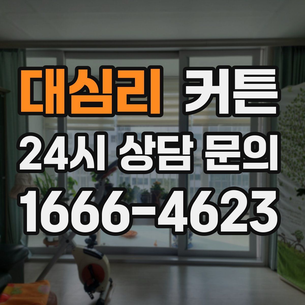 대심리 커튼