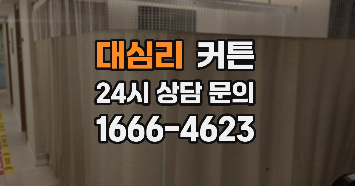 대심리 커튼