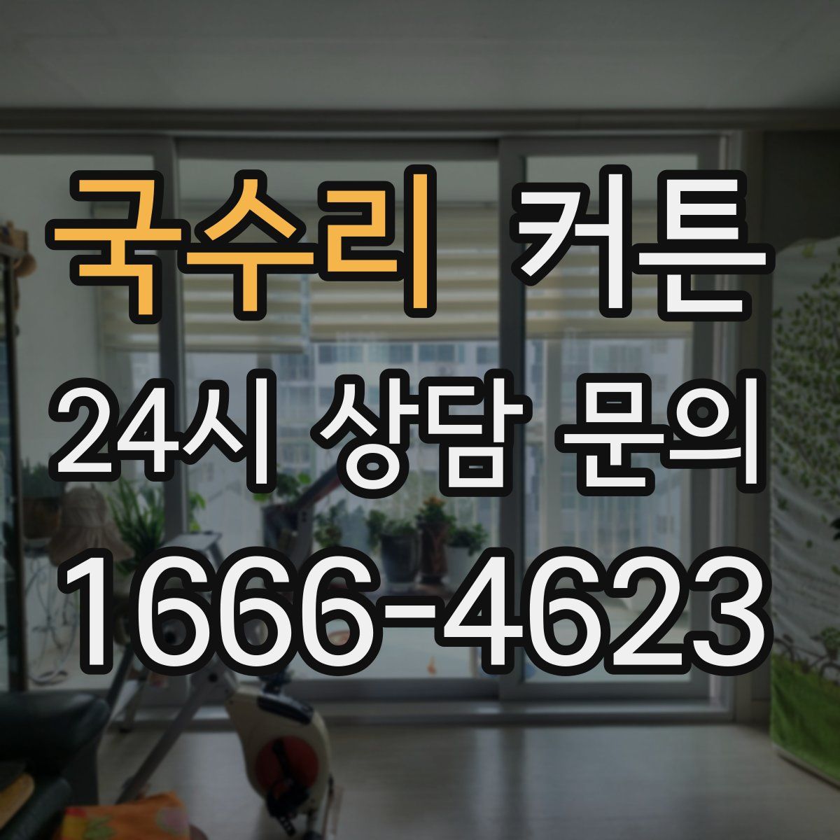 국수리 커튼