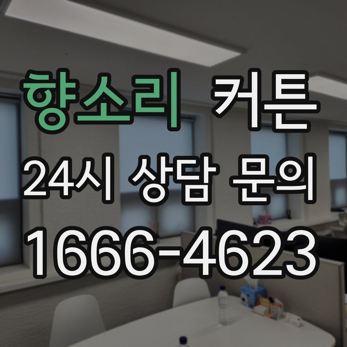 향소리 커튼