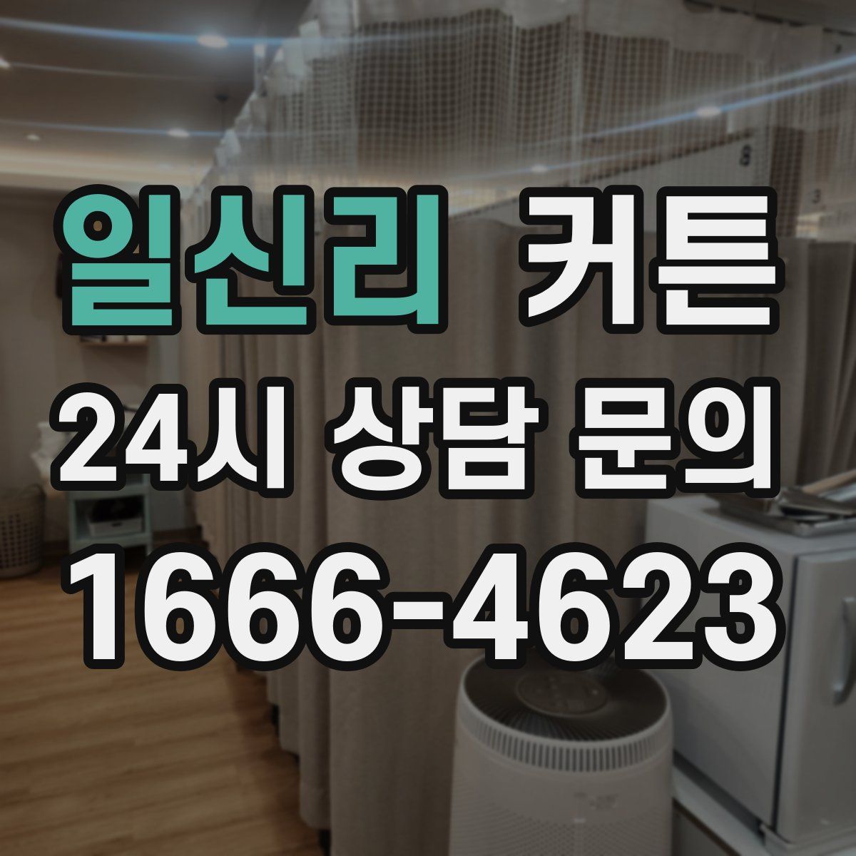 일신리 커튼