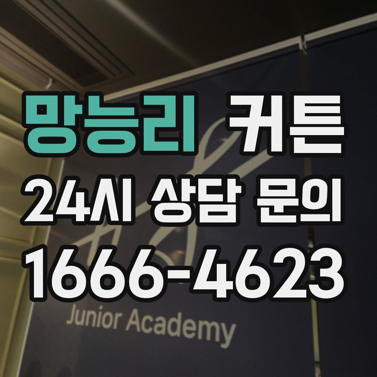 망능리 커튼