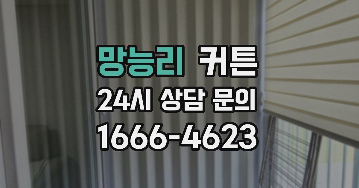 망능리 커튼