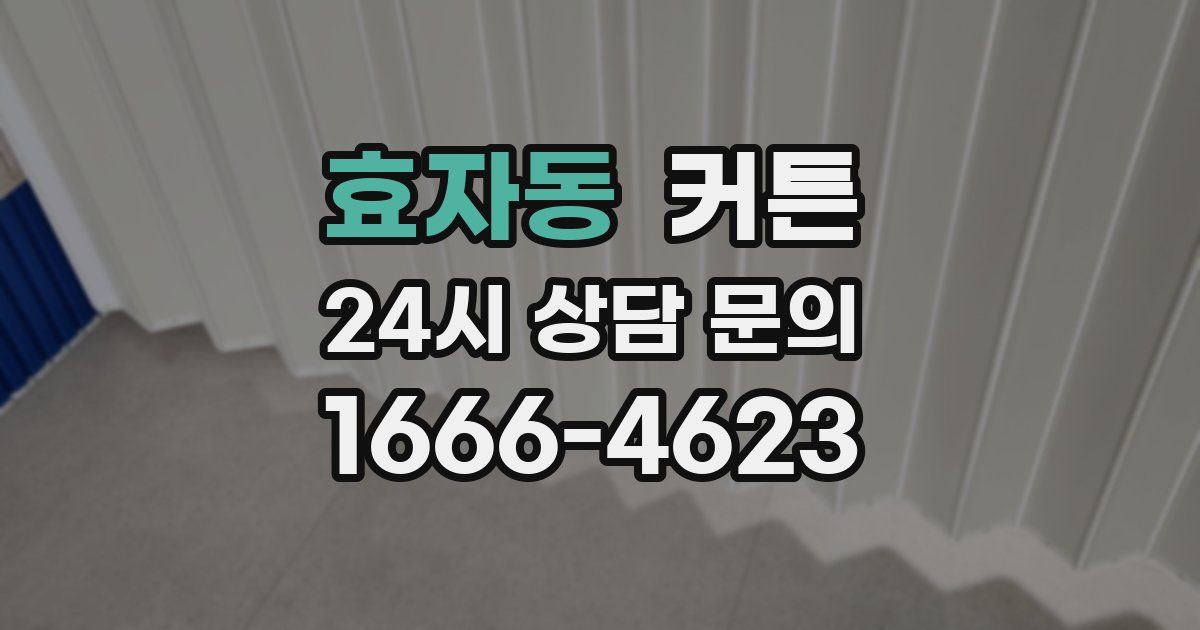 효자동 커튼