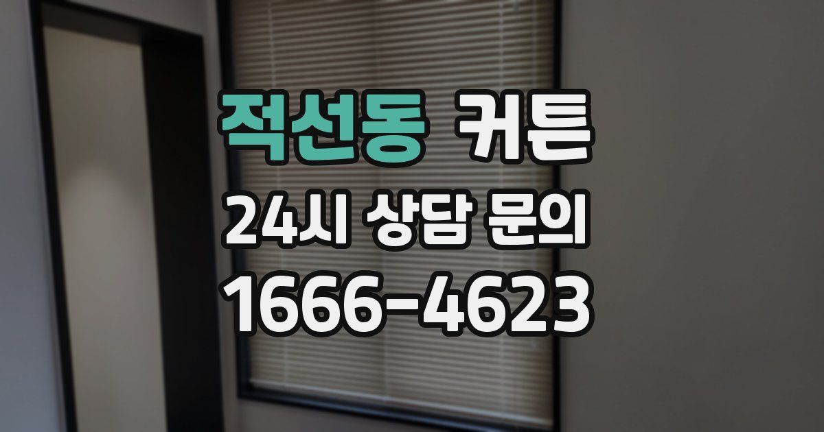 적선동 커튼