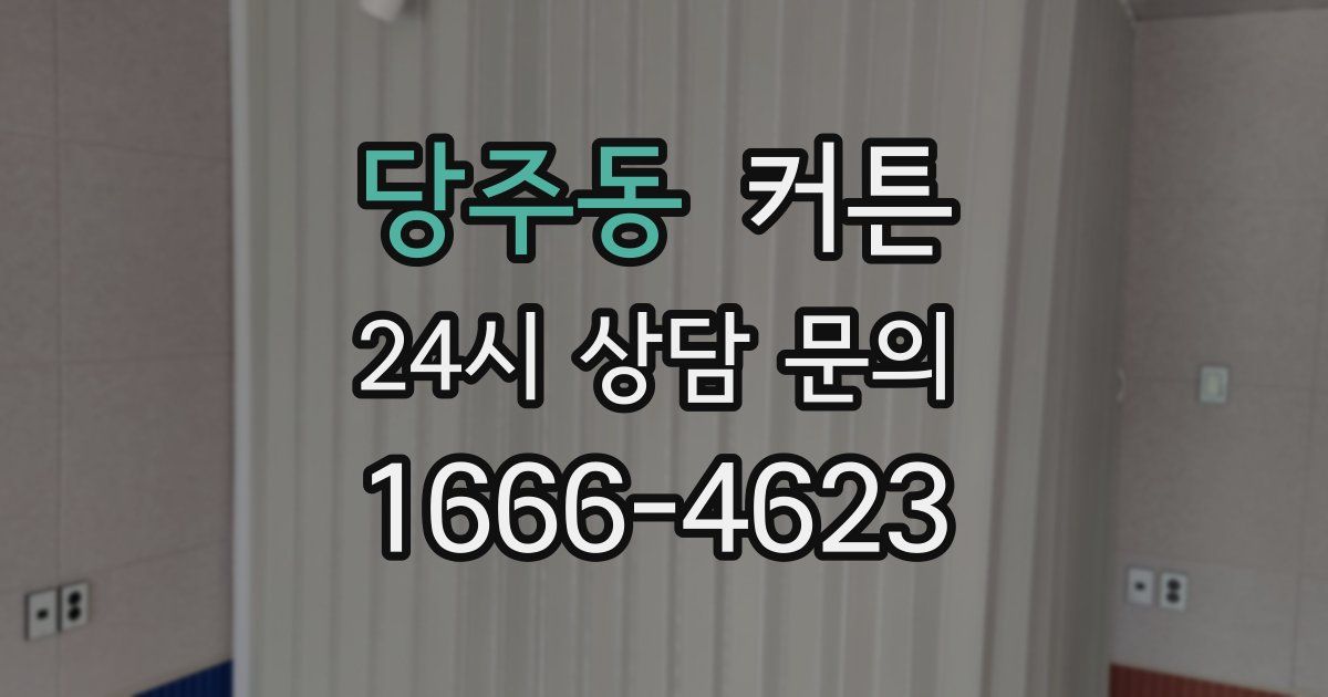 당주동 커튼