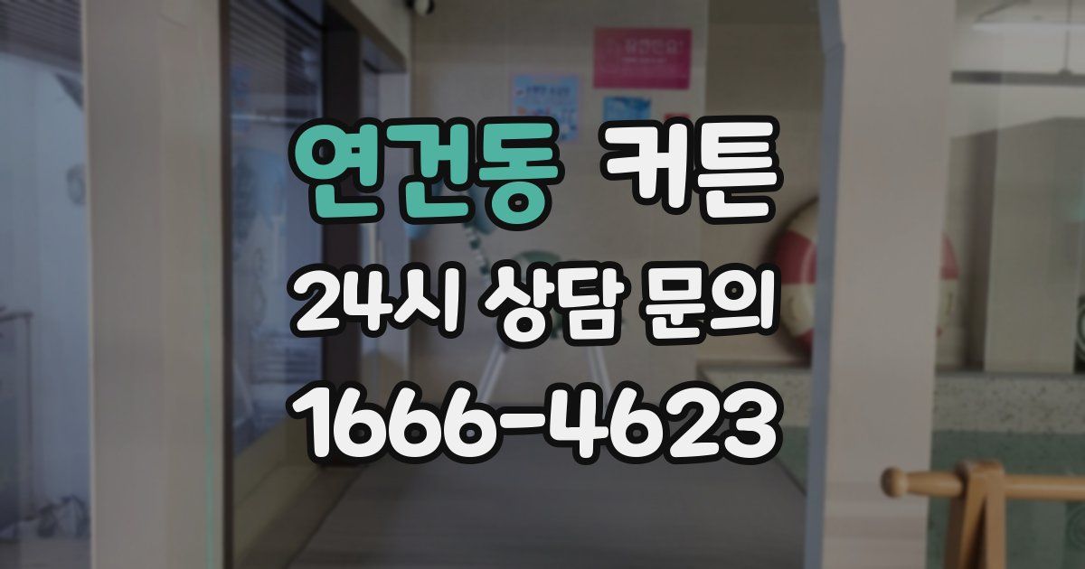 연건동 커튼