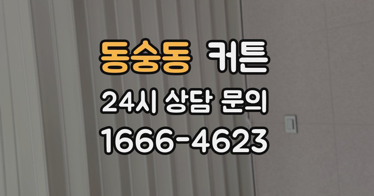 동숭동 커튼