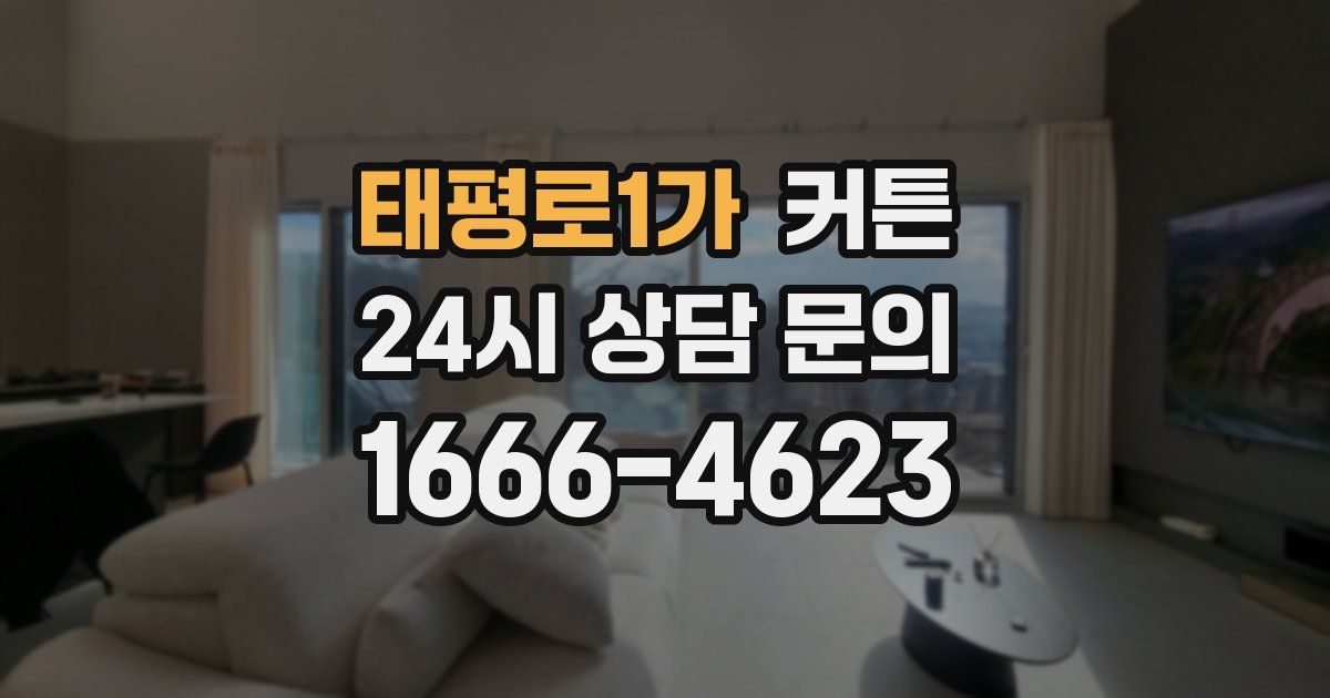 태평로1가 커튼