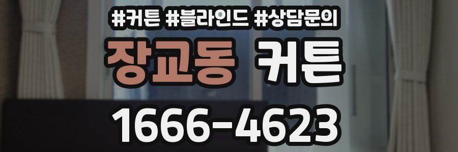 장교동 커튼