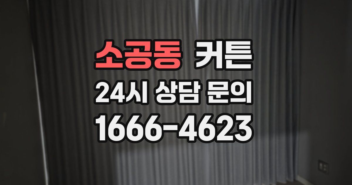 소공동 커튼