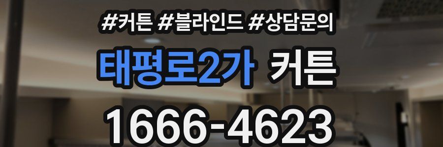 태평로2가 커튼