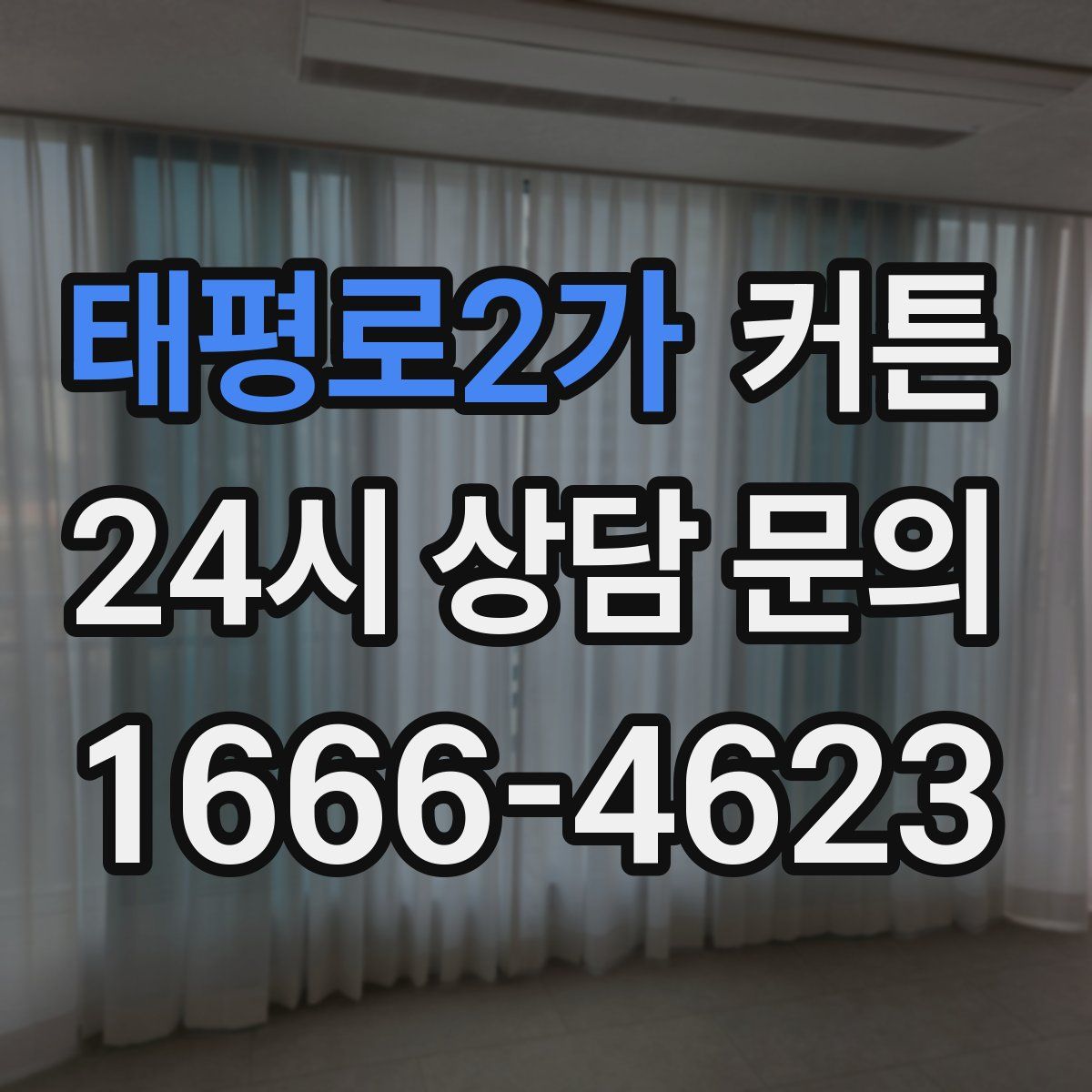 태평로2가 커튼
