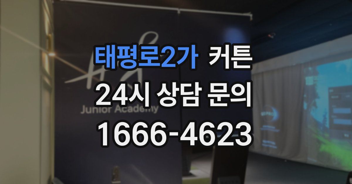 태평로2가 커튼