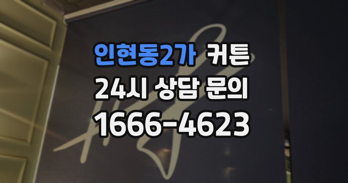 인현동2가 커튼