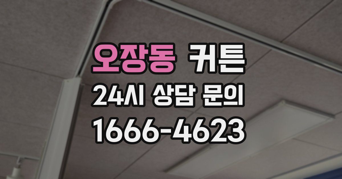 오장동 커튼